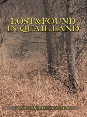cover image of Lost&Found in Quail Land